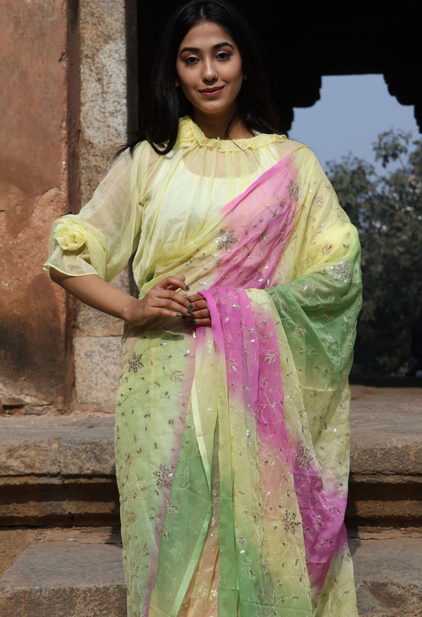 Kelly Multi Hue Sequin Chiffon Saree