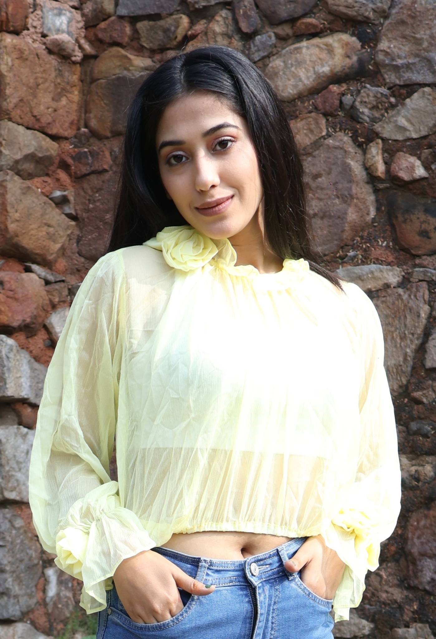 Rosey Affair Cute Sheer Chiffon Top