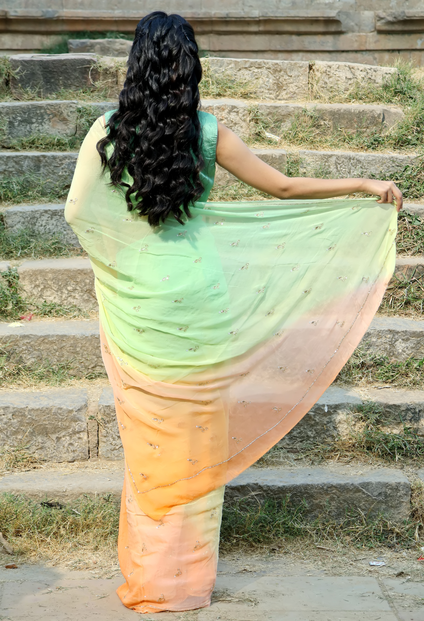 Apple Green Orange Hue Embellished Pure Chiffon Saree