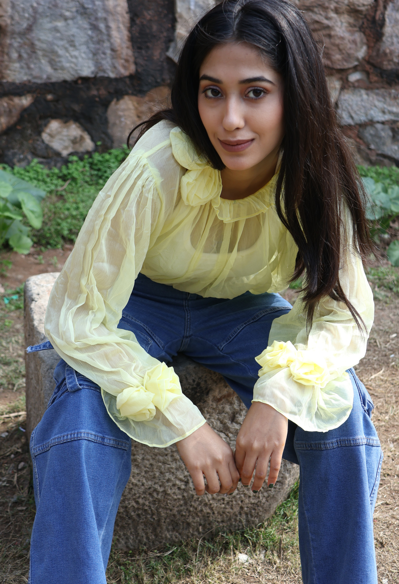 Rosey Affair Cute Sheer Chiffon Top