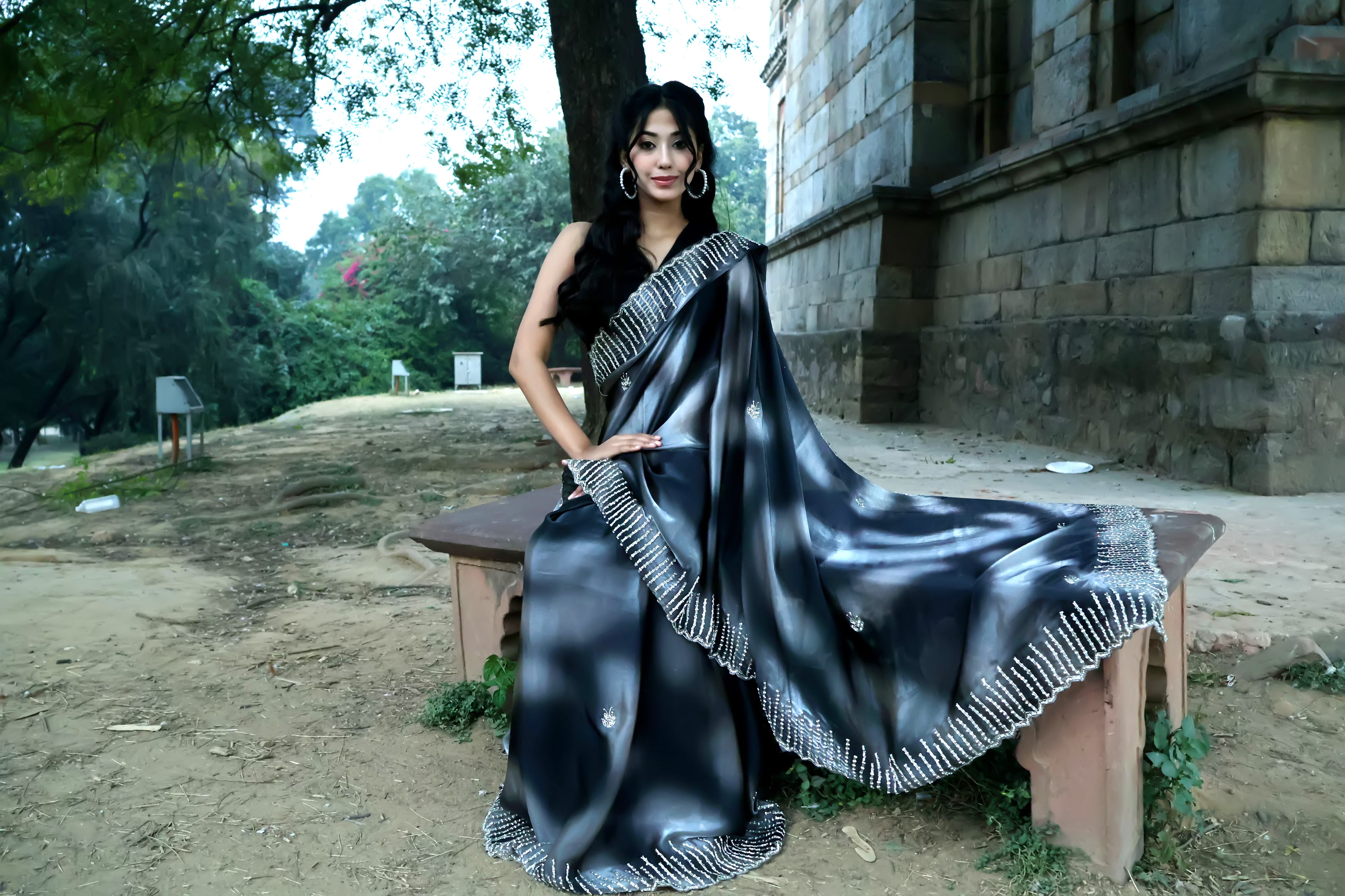 Zebra Black Heavy Embellished Saree