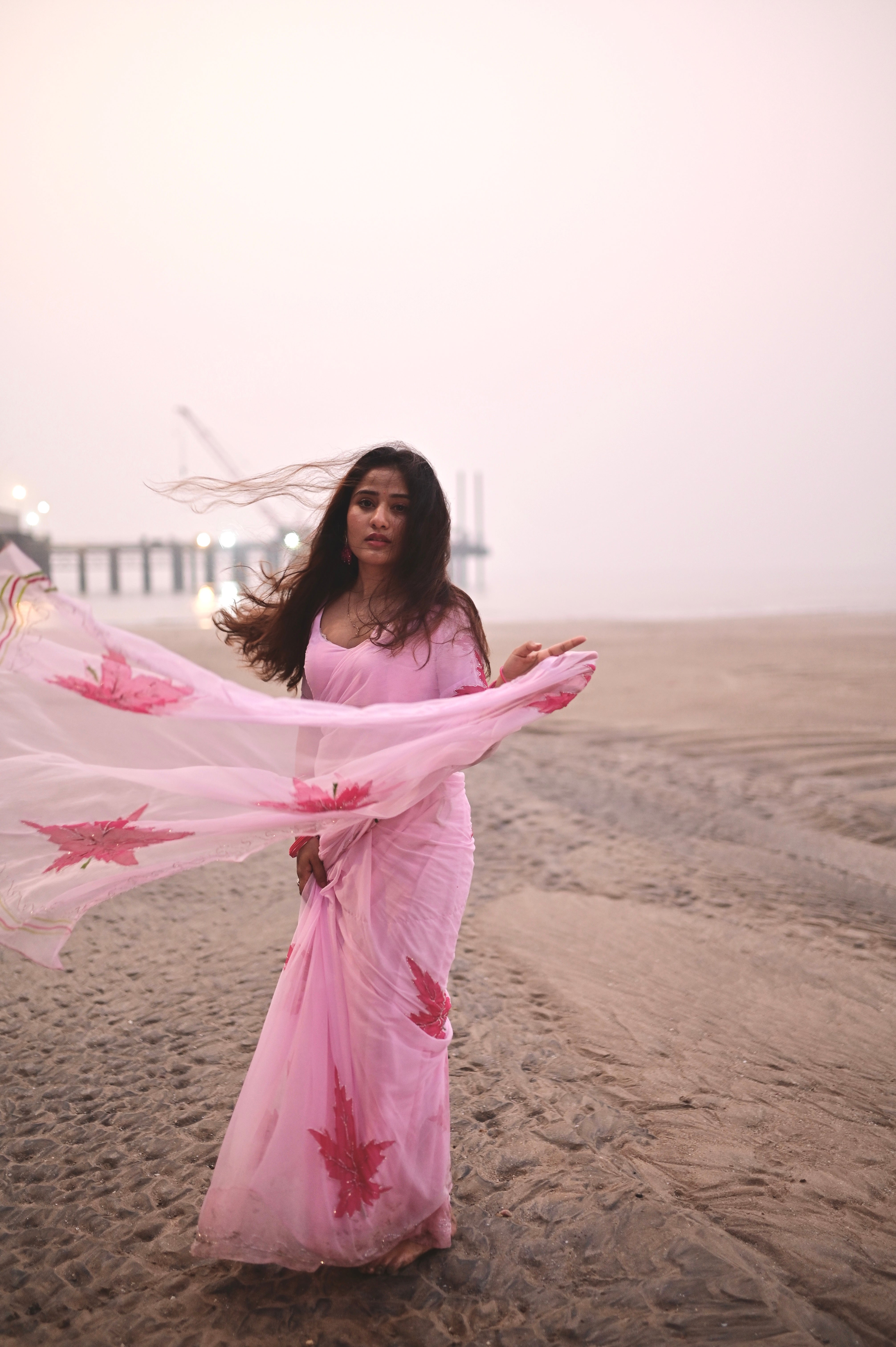Petal Pink Hand Brushed Chiffon Saree