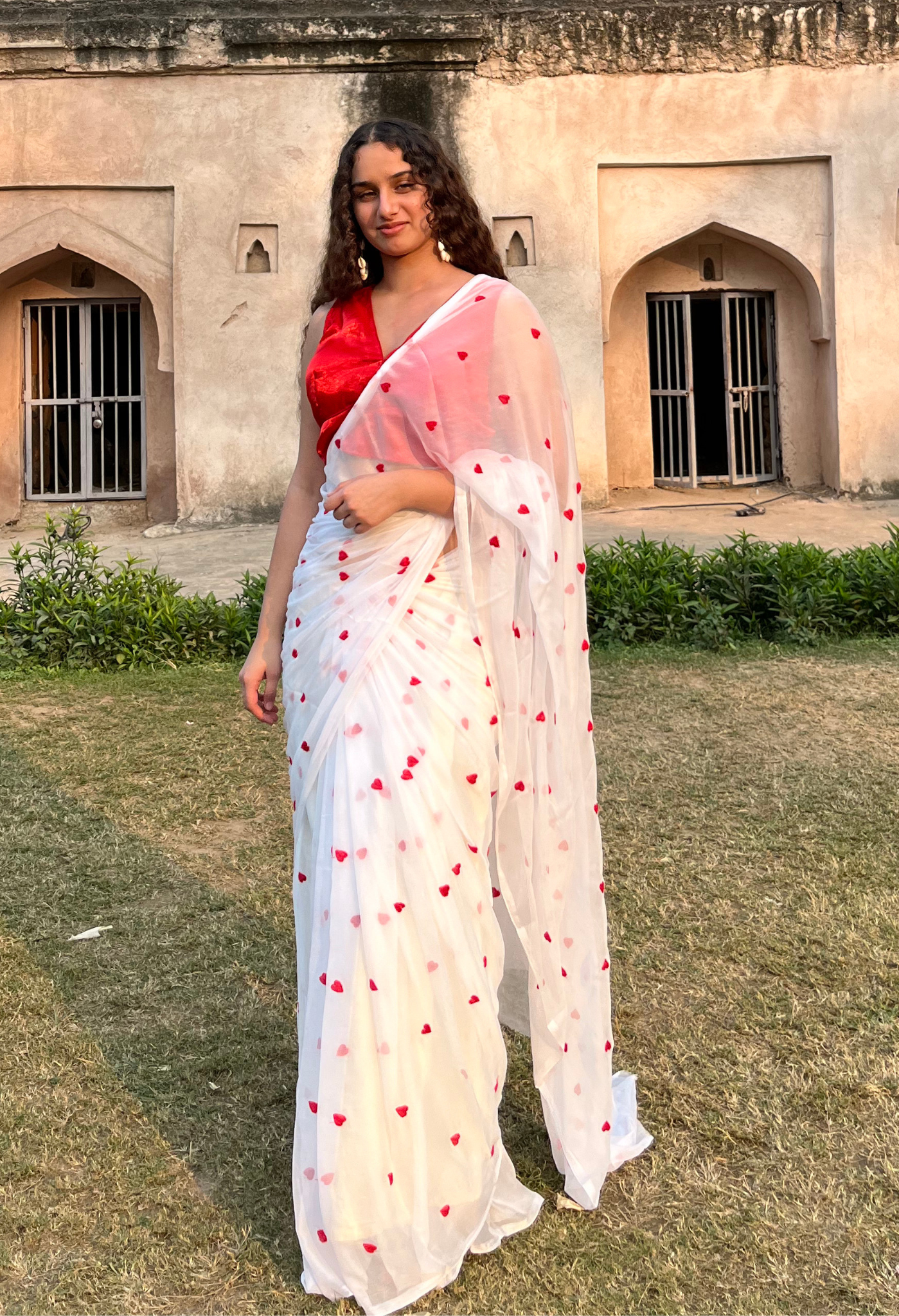 Red Heart Embroidered Chiffon Saree