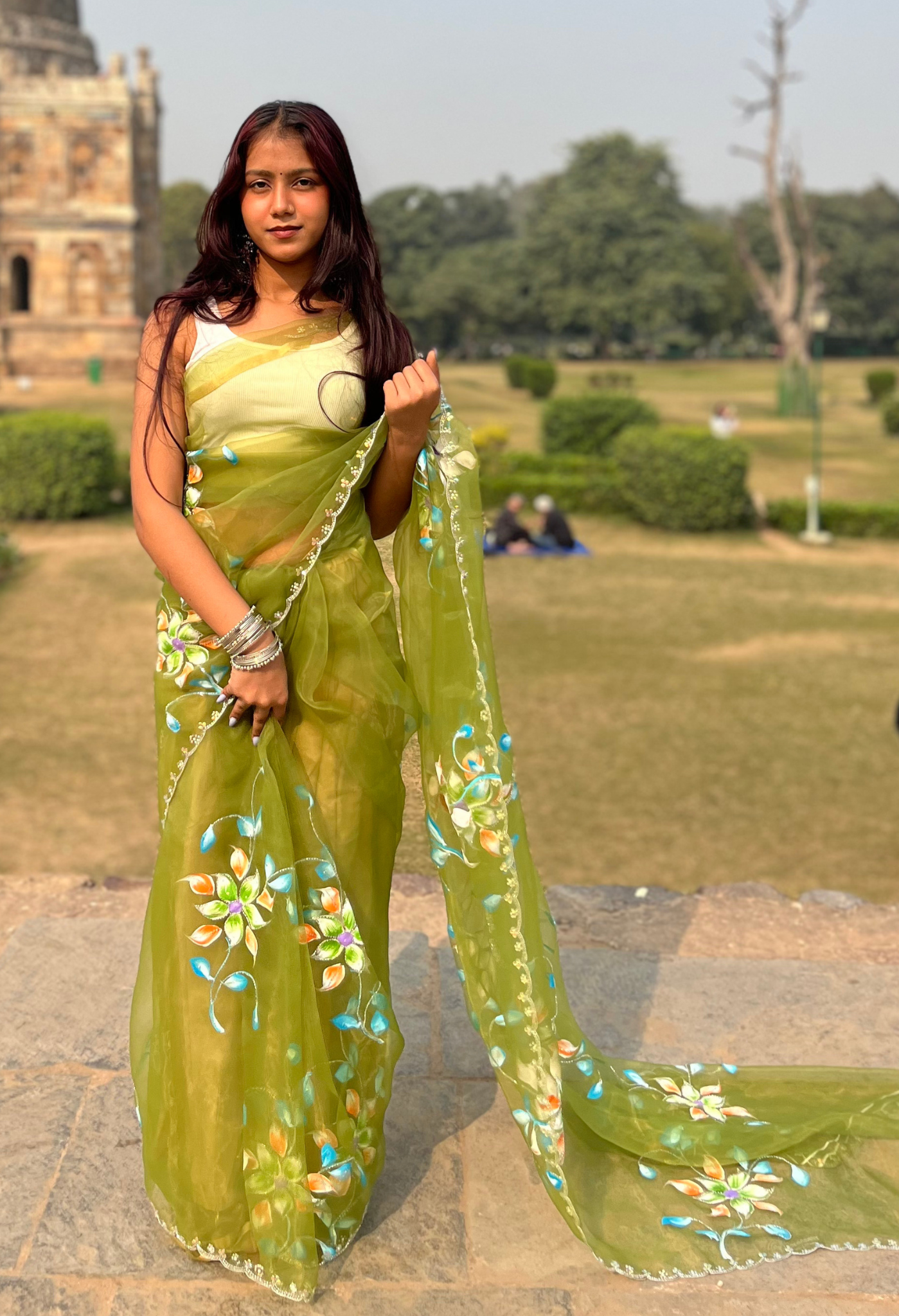 Grasshopper Floral Hand Painted Organza Saree