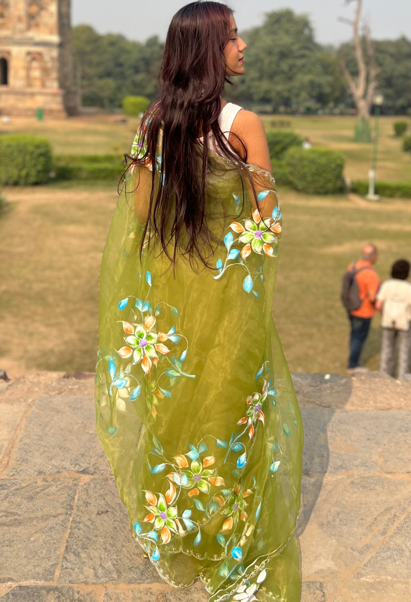 Grasshopper Floral Hand Painted Organza Saree