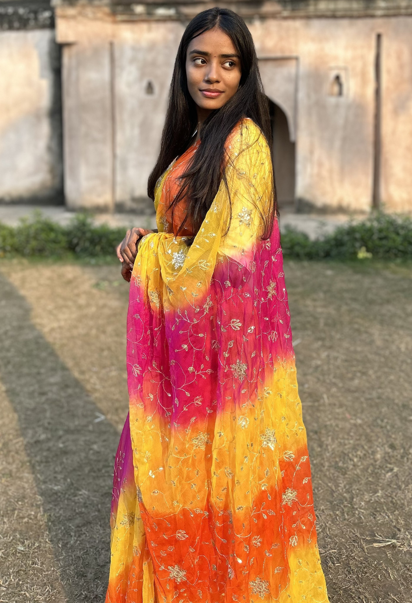 Sunset Sequin Chiffon Saree