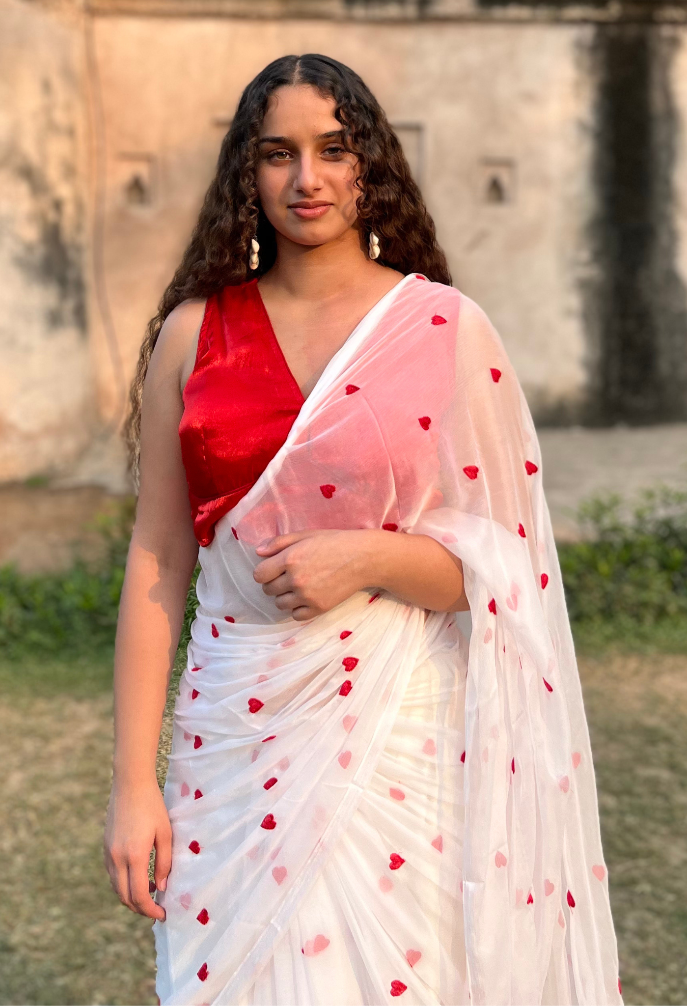 Red Heart Embroidered Chiffon Saree