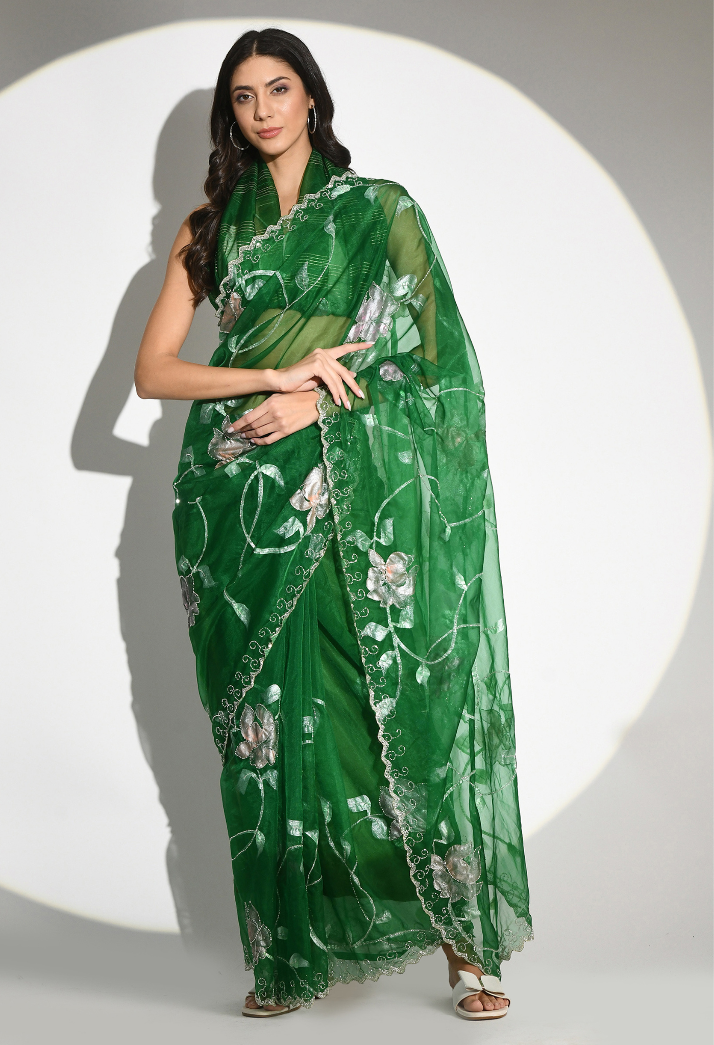 All Shimmer Hand Painted Organza Saree