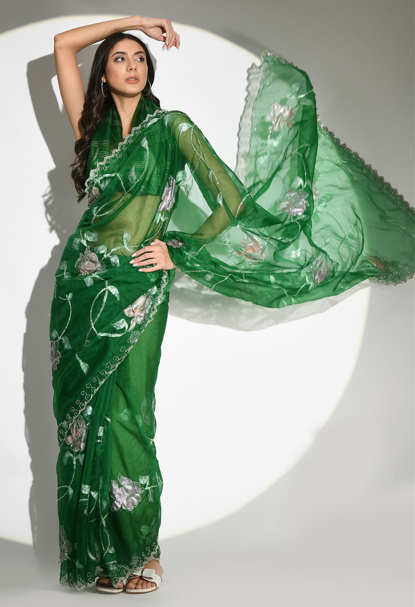 All Shimmer Hand Painted Organza Saree